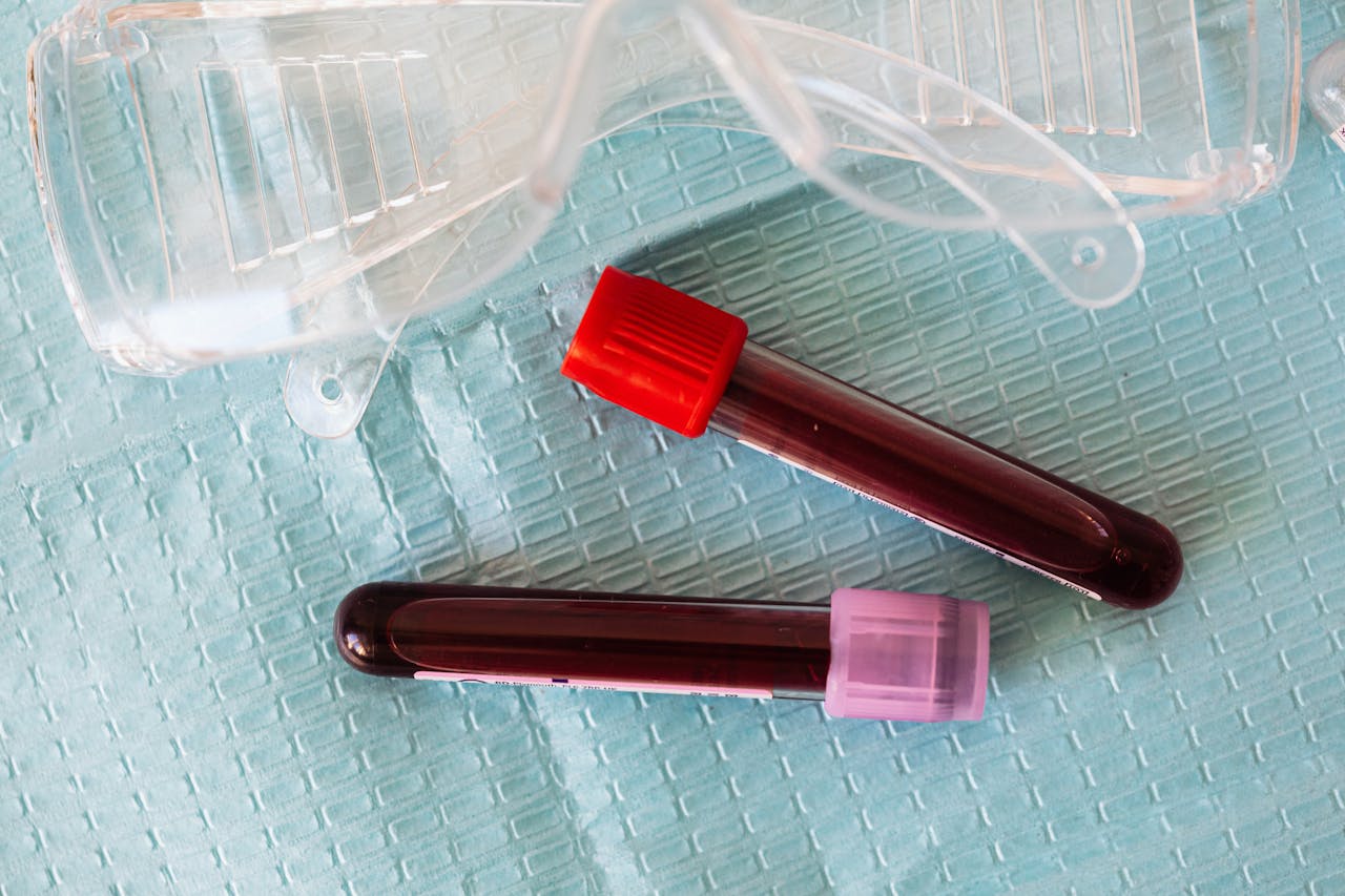 Does Shilajit Help Purify Blood?
