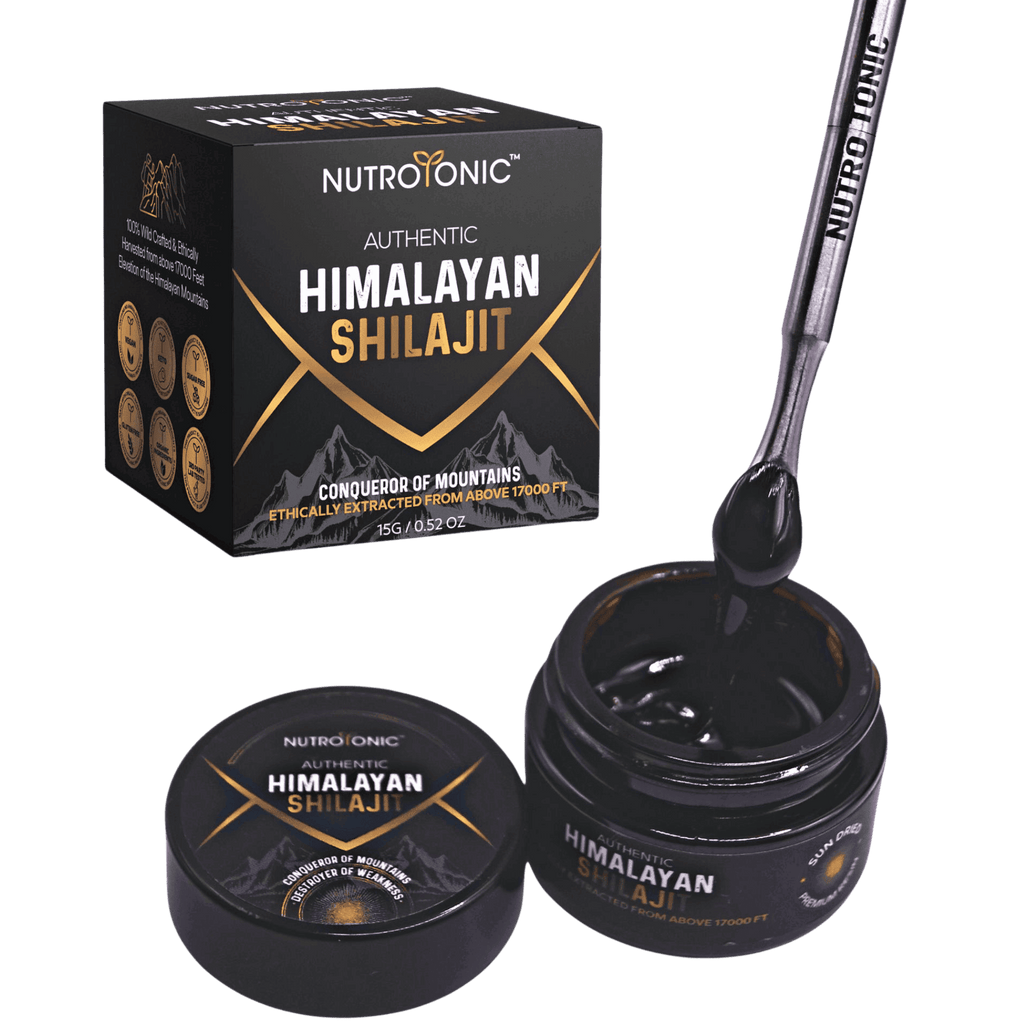 Can Shilajit Help Increase Your Iron Levels?