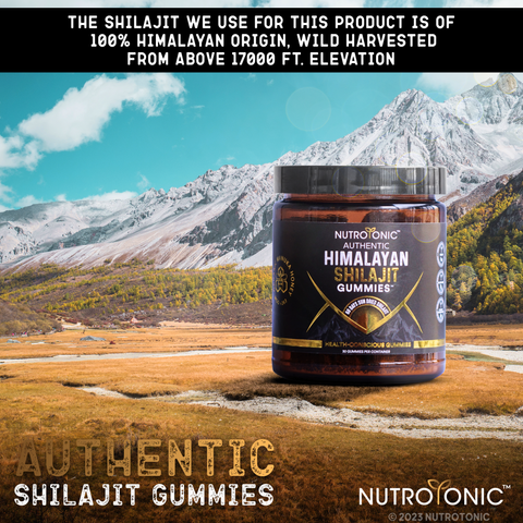 Authentic Himalayan Shilajit® Gummies Sweetened with Organic Manuka Honey Flavored with Pomegranate Oil & Organic Vanilla