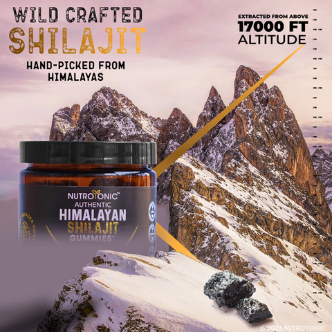 Authentic Himalayan Shilajit® Gummies Sweetened with Organic Manuka Honey Flavored with Organic Blood Orange Oil & Organic Vanilla